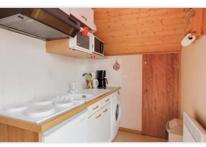 Apartment De Montagne Confortable Avec Jardin Prive, Animaux Acceptes, A - Fr-1-812-141 *